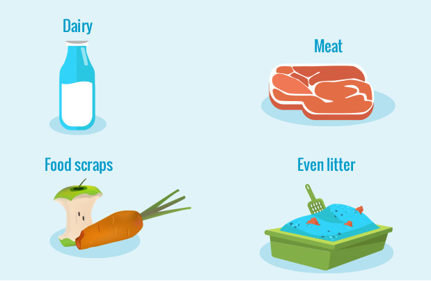 homebiogas waste